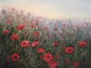 A Haze Of Poppies