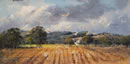 After The Harvest - Hunter Region
