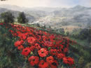 Field Of Poppies - Italy