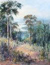 Overlooking Canberra