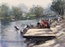 Pelicans At Budgewoi