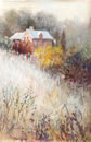 Summer Grasses Sofala