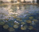 The Lily Pond Newcastle