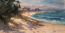 Toowoon Bay Sand Dunes