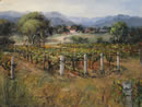 Vinyard In Mudgee