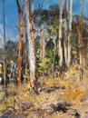 Yarramalong Bushland
