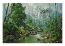 Rainforest Reflections - Click Here for larger version