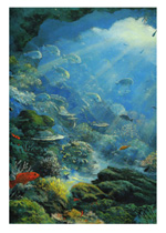 Window on the Barrier Reef 1 - Click Here to view larger version