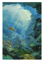 Window on the Barrier Reef 2 - Click Here to view larger version